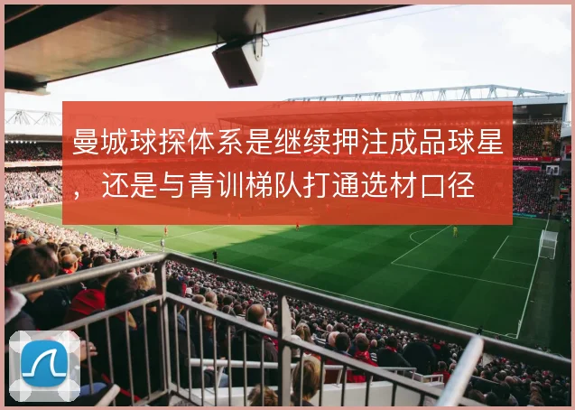 曼城球探体系是继续押注成品球星，还是与青训梯队打通选材口径