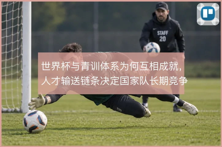 世界杯与青训体系为何互相成就,人才输送链条决定国家队长期竞争力