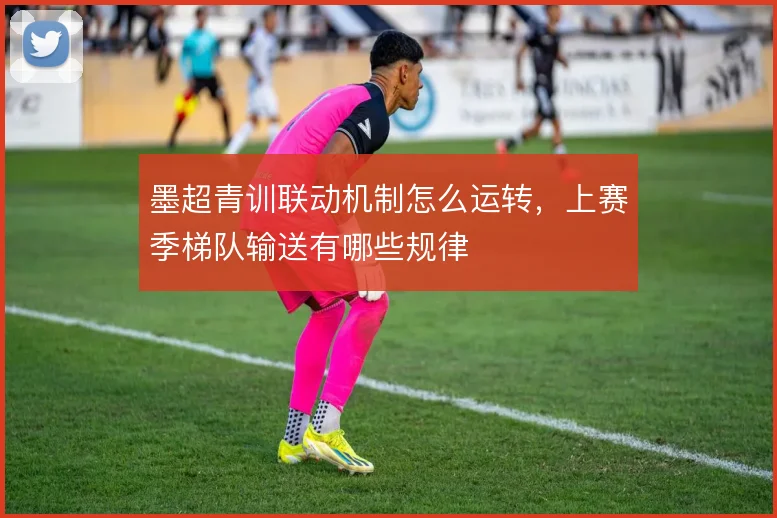墨超青训联动机制怎么运转,上赛季梯队输送有哪些规律